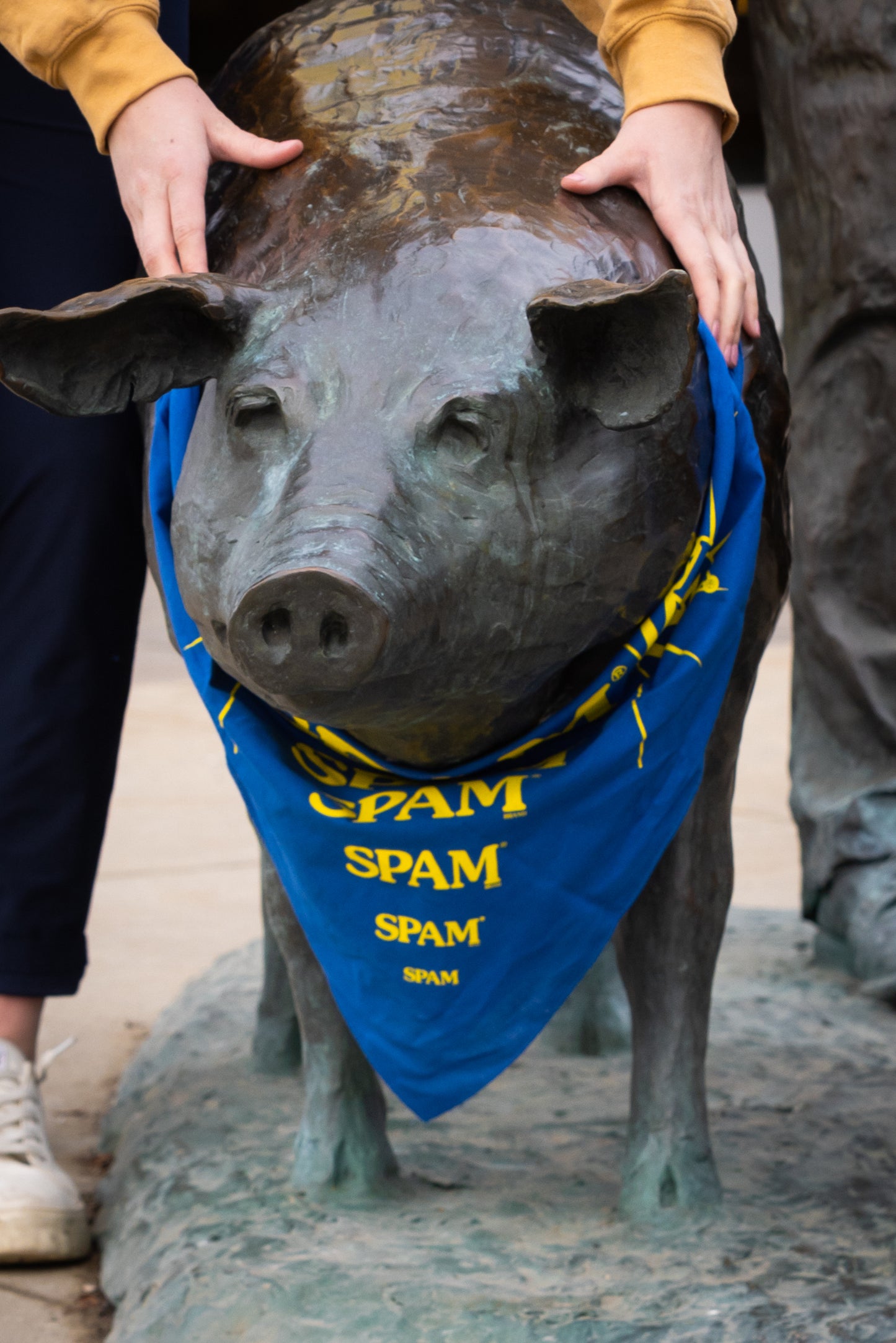 SPAM® Bandana